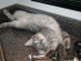 View full size picture