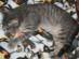 View full size picture