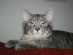 View full size picture