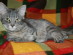 View full size picture