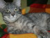 View full size picture