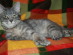 View full size picture