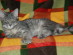 View full size picture