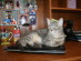 View full size picture