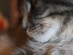 View full size picture