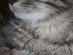 View full size picture