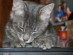 View full size picture
