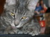 View full size picture