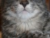 View full size picture