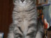 View full size picture