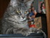 View full size picture