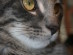 View full size picture