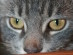 View full size picture