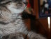 View full size picture