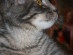 View full size picture