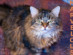 View full size picture