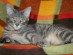 View full size picture