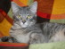 View full size picture