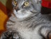 View full size picture