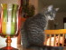 View full size picture