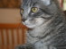 View full size picture