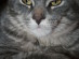View full size picture