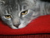 View full size picture