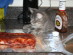 View full size picture