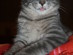 View full size picture