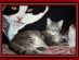 View full size picture