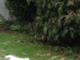 View full size picture