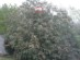 View full size picture