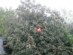 View full size picture