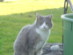 View full size picture