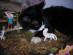View full size picture