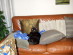 View full size picture