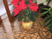 View full size picture