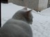 View full size picture