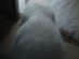 View full size picture