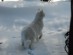 View full size picture