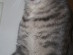 View full size picture
