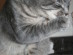 View full size picture