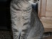 View full size picture