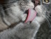 View full size picture