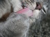 View full size picture