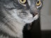 View full size picture