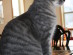 View full size picture