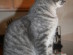 View full size picture