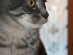 View full size picture