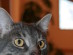 View full size picture